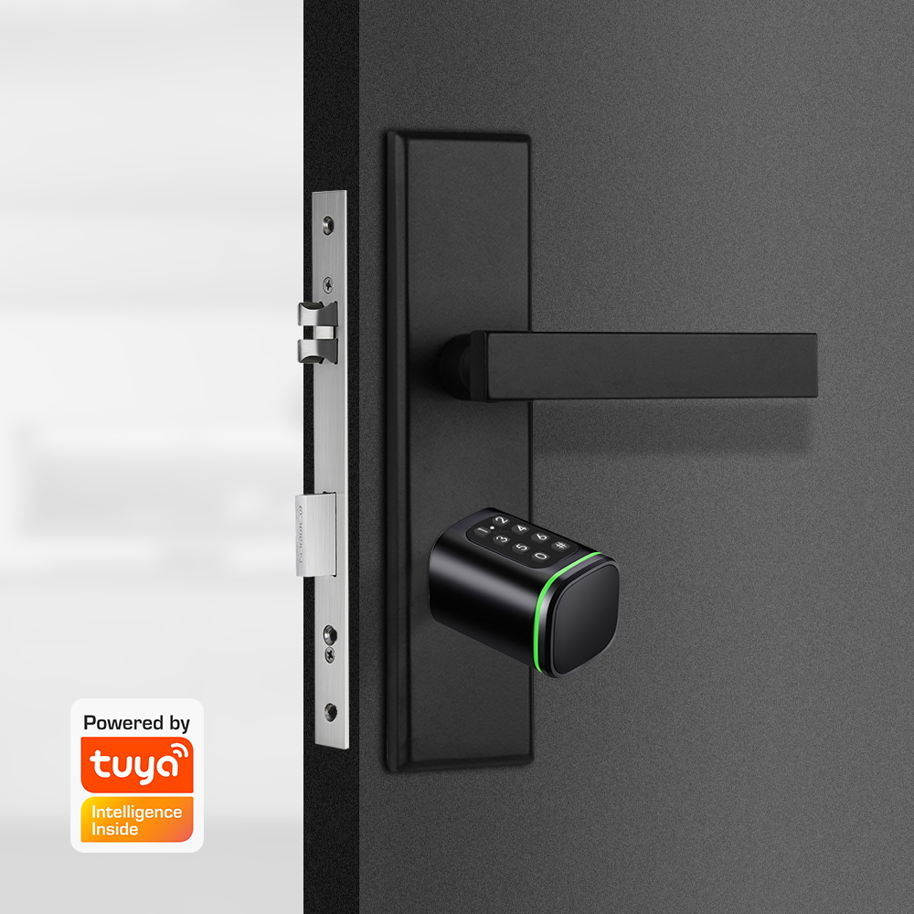Умный цилиндрический замок Tuy – обзор и цена Home Security Deals